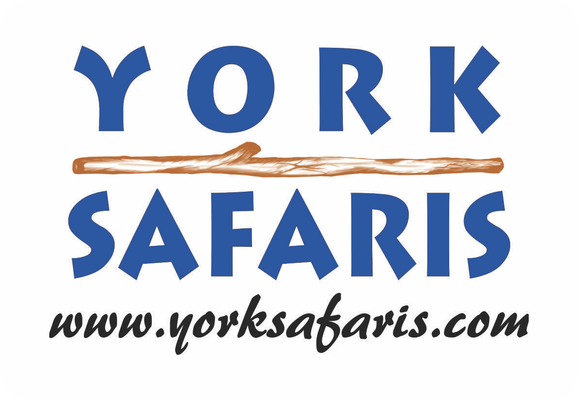 Listing Logo